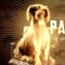 Pablo13